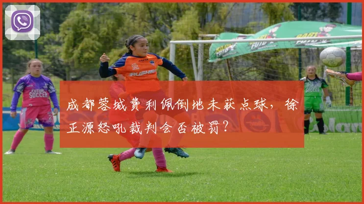 成都蓉城费利佩倒地未获点球,徐正源怒吼裁判会否被罚?